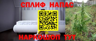 тгк Партизанск