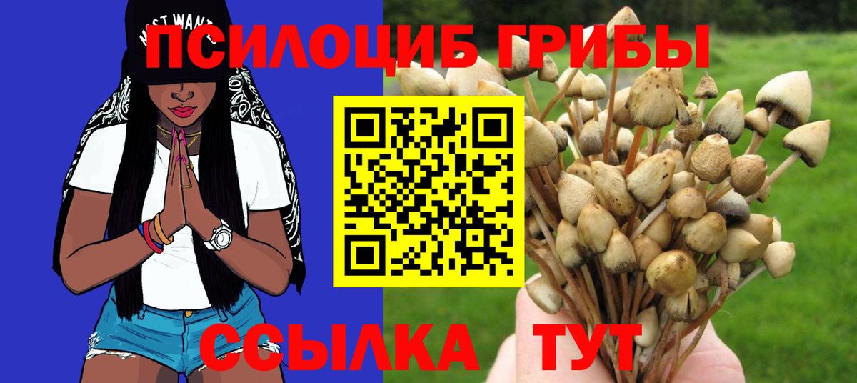 Галлюциногенные грибы Magic Shrooms  Вход с VPN  Скопин 